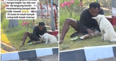 Momen viral saat seorang pria makan bersama anjingnya ini bikin emosi, nggak menjijikan sama sekali
