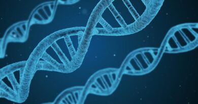 Genotipe adalah kondisi genetik suatu individu.  Pahami perbedaannya dengan fenotip