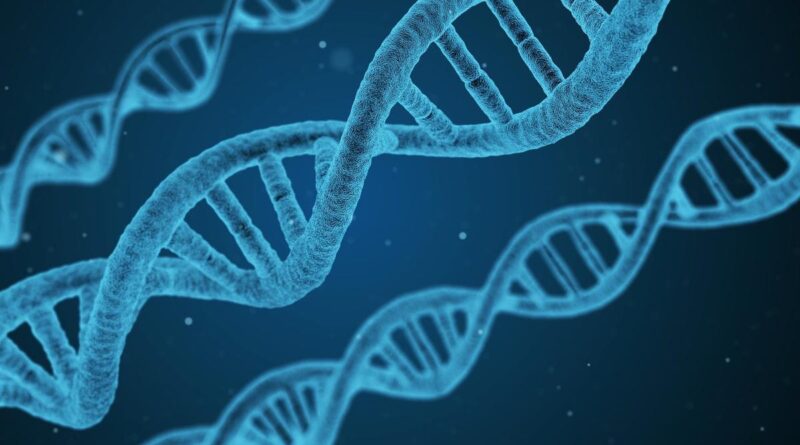 Genotipe adalah kondisi genetik suatu individu.  Pahami perbedaannya dengan fenotip