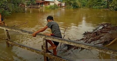 BPBD Kalbar: 1.242 warga di Landak terdampak banjir
