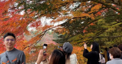 Jelajahi atraksi alam di musim gugur di Prefektur Nagano