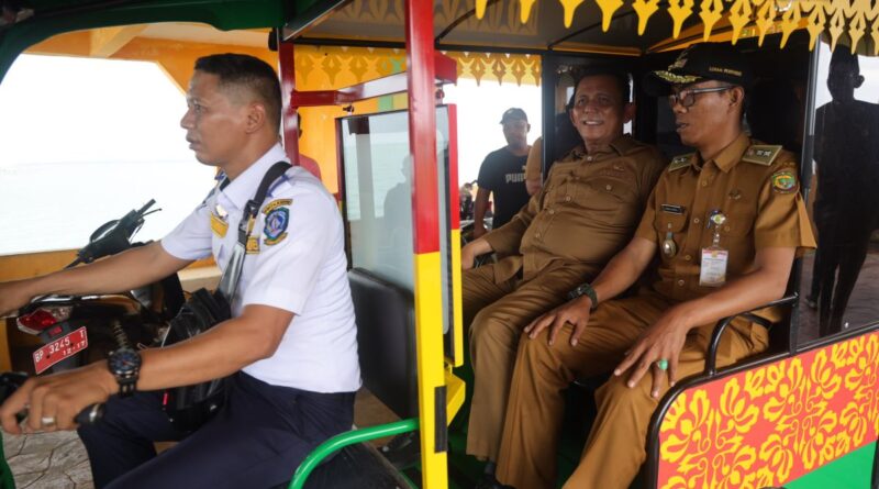 Pemprov Kepri hadirkan 11 unit kendaraan listrik di Pulau Penyengat