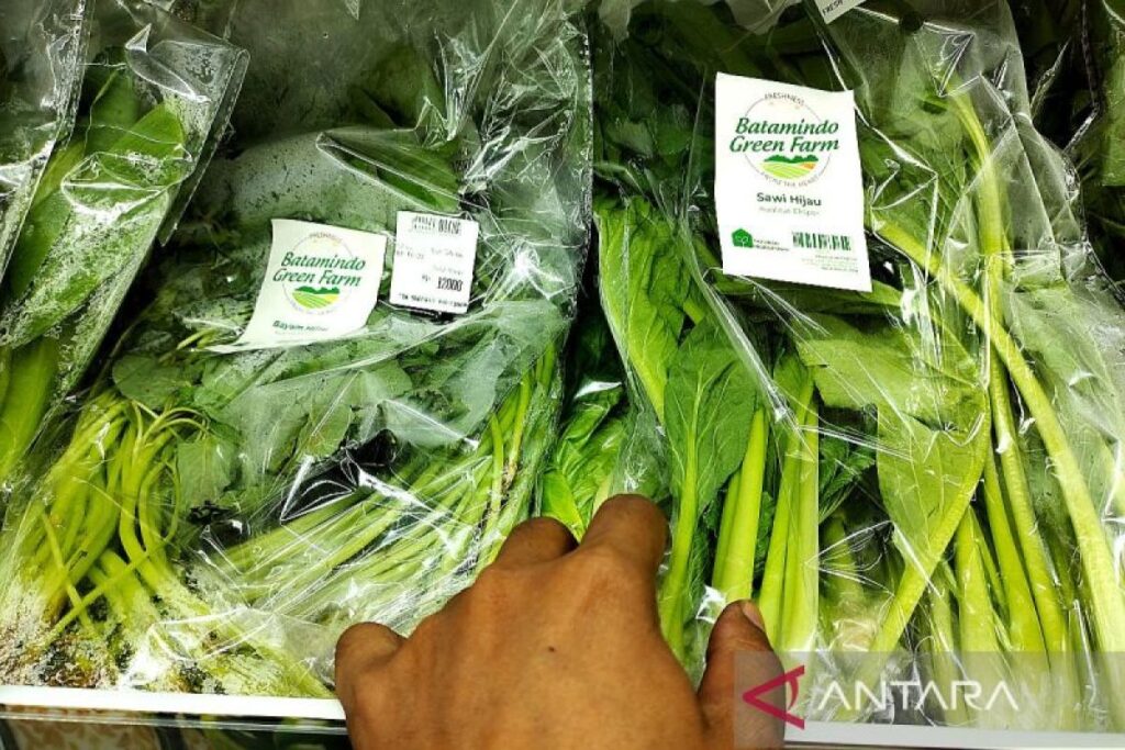 Petani milenial manfaatkan plasma ozon tingkatkan kualitas produk