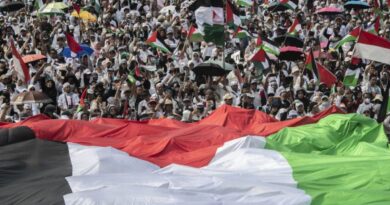 Menlu: Indonesia tegaskan kembali dukungan pada Palestina