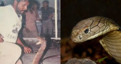 Pria ini dikurung selama 40 hari dengan 400 ekor ular kobra, pernah digigit 100 ular