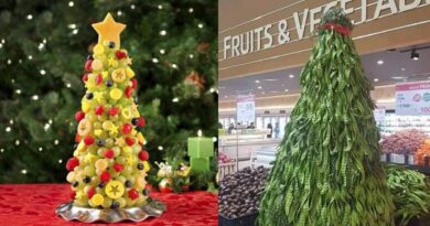 8 Potret Pohon Natal Berbahan Buah dan Sayur, Bisa Dimakan Langsung