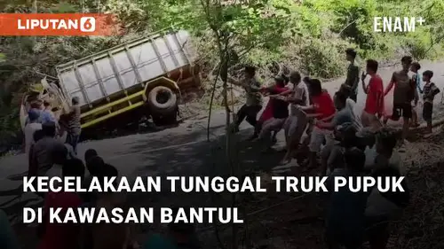 VIDEO: Kecelakaan Tunggal Truk yang Membawa Pupuk di Kawasan Kali Urang, Bantul