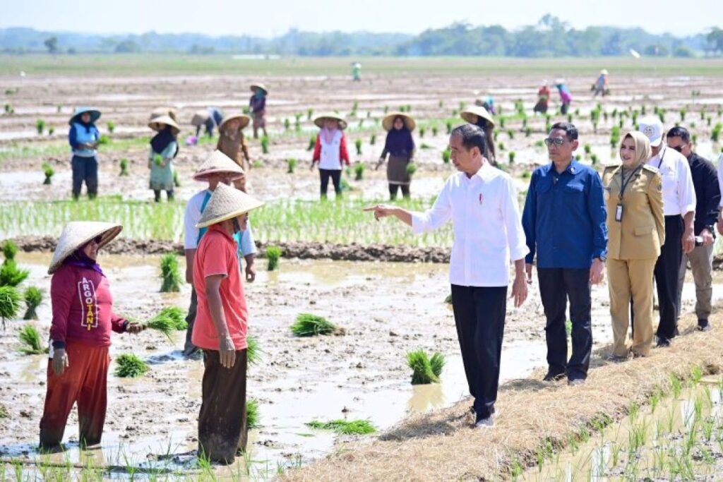 Presiden Jokowi janji tambah subsidi pupuk untuk petani