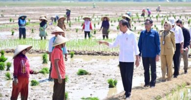 Presiden Jokowi janji tambah subsidi pupuk untuk petani