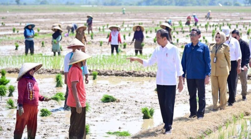 Presiden Jokowi janji tambah subsidi pupuk untuk petani