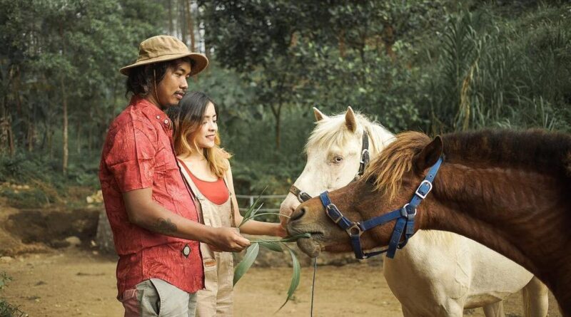 Momen Dodit Mulyanto dan Angelina Ci Bermain dengan Kuda Peliharaan di Rumah Hutan, Seru