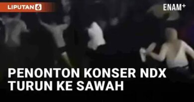 VIDEO: Viral Penonton Turun ke Sawah Saat Konser NDX AKA di Magelang