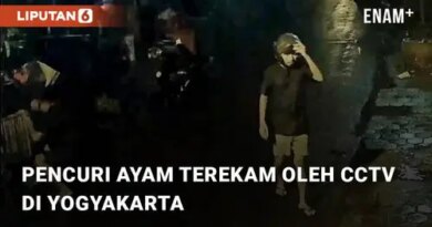 VIDEO: Detik-detik Pencuri Ayam Terekam oleh CCTV Pemilik di Timoho Yogyakarta