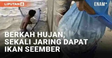 VIDEO: Berkah Hujan, Pria Sukses Borong Ikan Seember Sekali Jaring di Bojonegoro