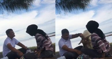 Viral Momen Pasangan Piknik di Pantai, Malah Diganggu Kambing