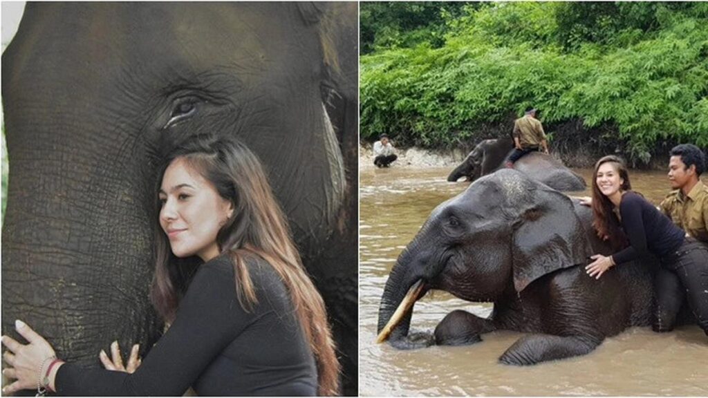 6 Potret Kenangan Wulan Guritno Bersama Gajah Rahman, Diracun Hingga Mati dan Dicuri Gadingnya