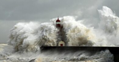 5 Faktor Penyebab Tsunami, Tanda, dan Cara Menyelamatkan Diri