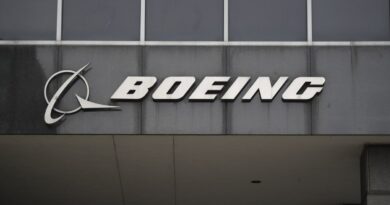 Sejumlah negara tunda pengoperasian pesawat Boeing