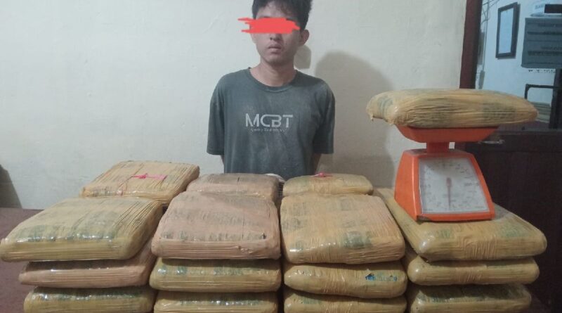 Polres Padangsidimpuan tangkap kurir 35 kilogram ganja 