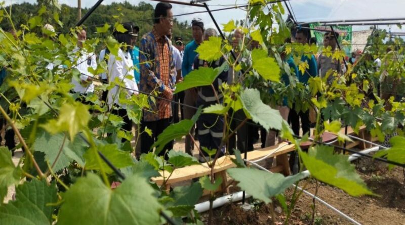 Sultan minta petani Kulon Progo lakukan modernisasi alat pertanian
