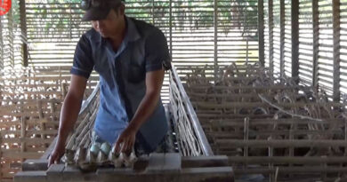 Kalimantan Selatan siap memasok daging bebek dan ayam broiler untuk kebutuhan IKN