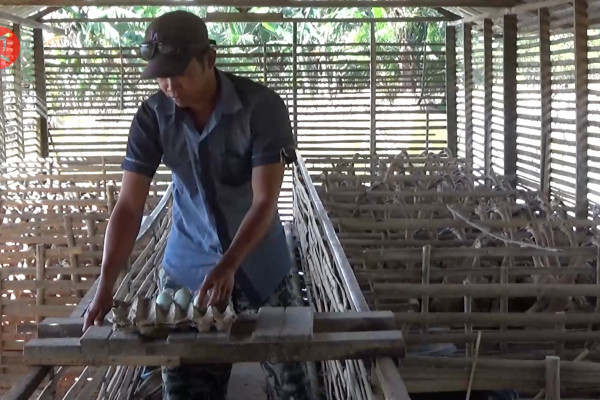 Kalimantan Selatan siap memasok daging bebek dan ayam broiler untuk kebutuhan IKN