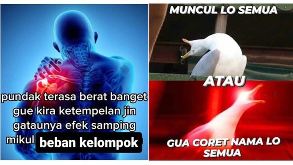 10 Meme Lucu Untuk Ditanggapi Anggota Kerja Kelompok Yang Akan Membuat Anda Menggelengkan Kepala