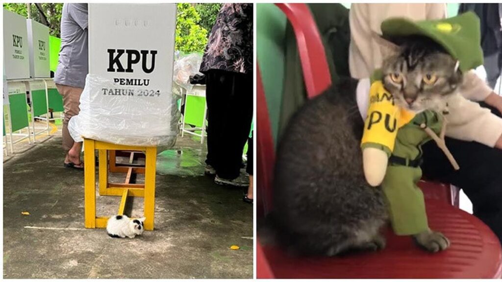 6 Potret Lucu Kucing di TPS Ini Bikin Semangat Bak Jadi Petugas KPPS