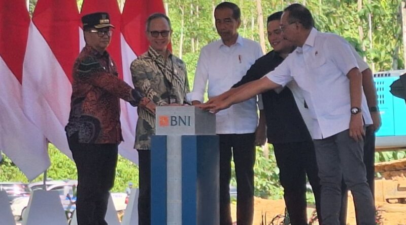 Jokowi bayangkan konser-konser besar kelak bisa diadakan di IKN