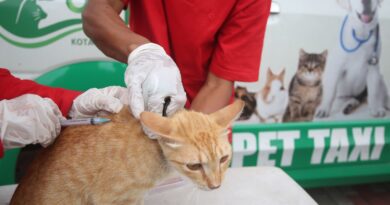 Pemkot Tangerang gelar vaksinasi rabies gratis mulai 5 Februari 2024