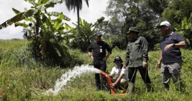 Kementan masifkan pompanisasi demi produktivitas pertanian Indonesia