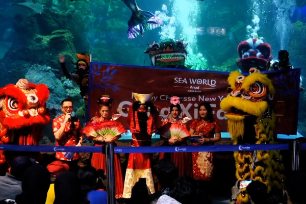 Atraksi naga bawah air sambut perayaan Imlek di Sea World Ancol
