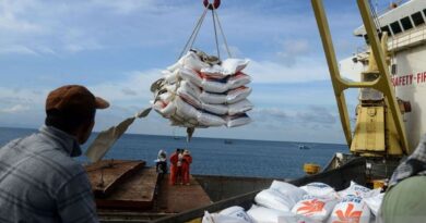 Pemerintah impor 1,6 juta ton beras untuk penuhi kebutuhan domestik