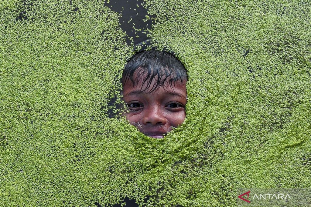 Foto Pilihan pekan keempat Februari 2024