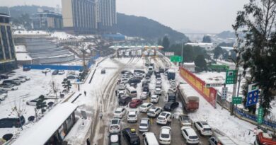 Pasar sewa mobil di China alami kinerja luar biasa