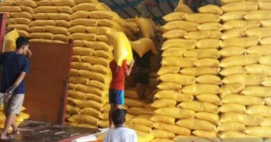 Bapanas: Impor beras dari Thailand dua juta ton jika produksi kurang