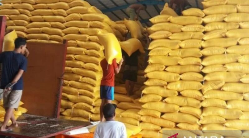 Bapanas: Impor beras dari Thailand dua juta ton jika produksi kurang
