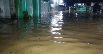 Sejumlah rumah warga di Lampung Selatan terendam banjir