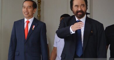 Istana benarkan Presiden Jokowi bertemu Surya Paloh