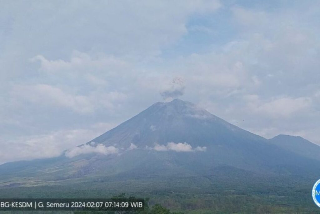 Gunung Semeru dua kali erupsi dengan letusan setinggi 800 meter