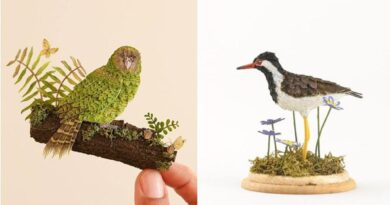 8 potret patung burung potongan kertas ini mencuri perhatian, detailnya sungguh menakjubkan