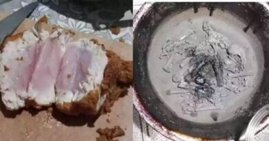 8 Gambar Momen Sial Saat Masak Ayam, Ada yang Bakar Jadi Abu