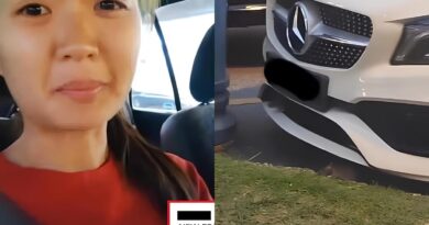 Wanita Ini Berbagi Pengalaman Parkir Mobil Dekat Lubang Tikus, Ventilasi AC Berubah Jadi Sarang