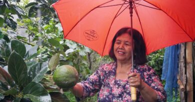 Petualangan Srini Maria, Guru Petani dari Lereng Merapi