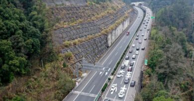 Perjalanan penumpang dan angkutan kargo China naik di awal tahun 2024