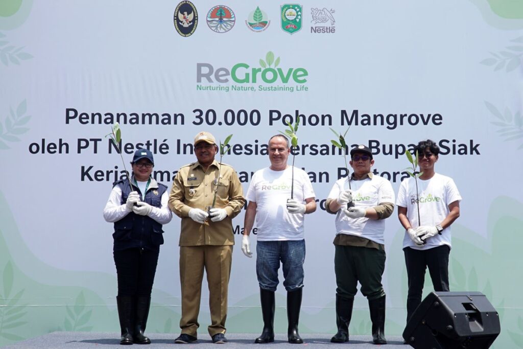 Nestlé dan BRGM berkolaborasi rehabilitasi Mangrove di Siak