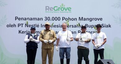 Nestlé dan BRGM berkolaborasi rehabilitasi Mangrove di Siak