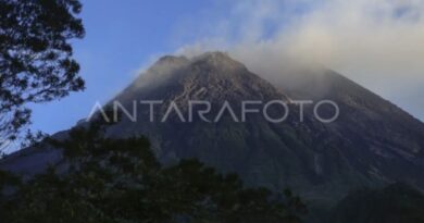 Gunung Merapi muntahkan tujuh awan panas guguran beruntun Senin sore