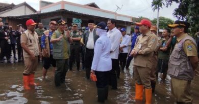 BNPB: Tanaman padi petani Jepara yang puso dapat ganti rugi