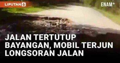 VIDEO: Pemobil Apes Saat Melintas di Jalan Tertutup Bayangan, Terjun ke Jalan Longsor